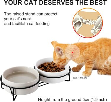 PETTOM Миска для котів піднята, миска для корму для котів, станція для корму, керамічна миска для їжі та води для котів та маленьких собак (Білий + Сірий) Білий+Сірий