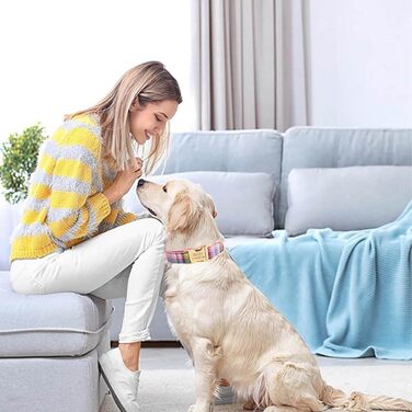 Персоналізоване собаче ошийник з металевою застібкою, з іменем та номером телефону. Регульовані розміри для великих та середніх собак (Collar 05)