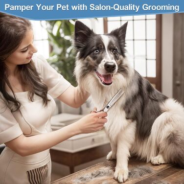 Набір професійних ножиць для грумінгу собак Gimars, 4CR, з безпечними закругленими кінцями, титанове покриття, 6-в-1 (чорний/блакитний)