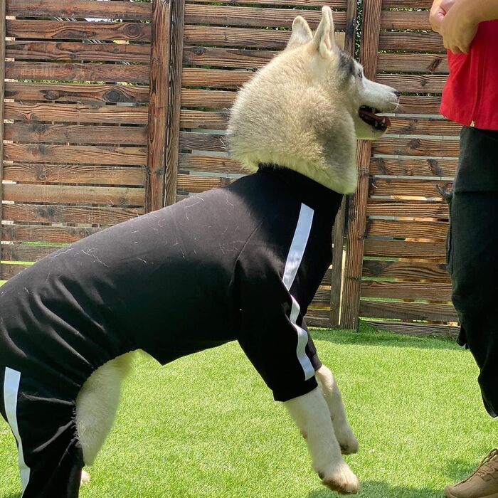 Спортивний світшот для собак з блискавкою, чорний, 4-лапий комбінезон, дихаючий, зручний, для малих, середніх і великих порід, розмір XL