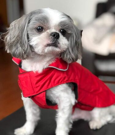 PETCEE Тепла куртка для собак, 5XL, для великих собак, з флісовою підкладкою, червона