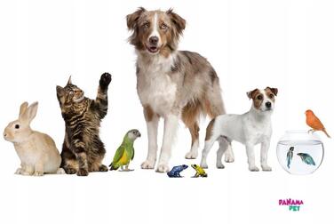 Клітка Panama Pet 40 x 0 x 0 см, коричнева