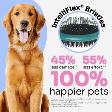 Щітка Wet Brush Ultimate Dual-Sided для собак, котів та кроликів - IntelliFlex, турк. блакитний