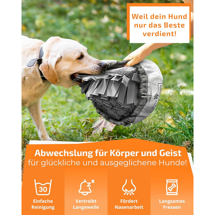 Schnüffelteppich для собак DOGPARENTS® – килимок для пошуку та розваг, міцний, для малих та великих собак, зелений (сірий)