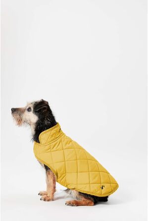 Собачий жилет Rosewood Joules, стьобаний, антикварне золото, розмір S