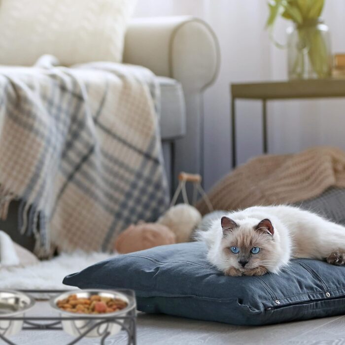 Набір мисок для собак Relaxdays з підставкою, 2 миски з нержавіючої сталі по 300 мл, чорний/сріблястий, для корму та води