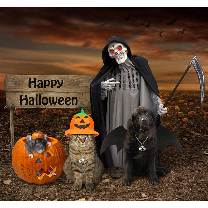 Костюм кажана для собак Rypet, карнавальний костюм для тварин, костюм із крилами для собак і котів, косплей, XL (Medium)