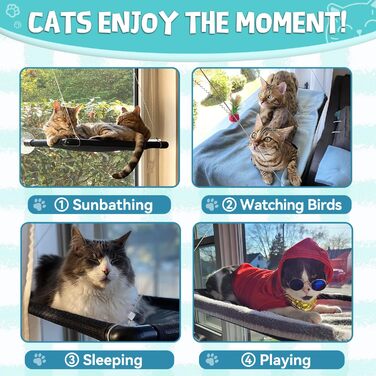 Крісло-гамак для котів Dracarys на вікно | для великих котів до 20 кг | Посилена конструкція з міцними присосками | Лежанка для котів, сонячне місце, лежанка для домашніх тварин, підходить для вікон шириною ≥76 см та висотою ≥64 см, розмір 68*38*58 см