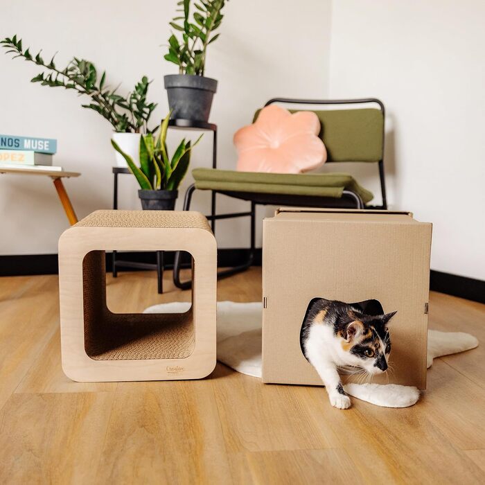 Кігтеточка для котів з картону | Міцна, велика, 2в1 з будиночком | 37 x 30 x 30 см