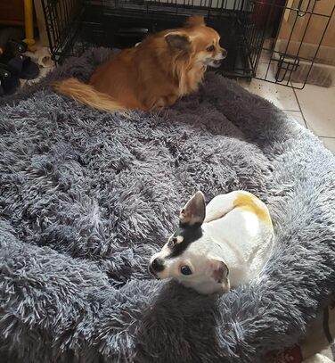 М'яке ліжко для собак Yuly, велике, середнього розміру, зручне, кругле, для котів та собак, рожеве (діаметр 100 см)