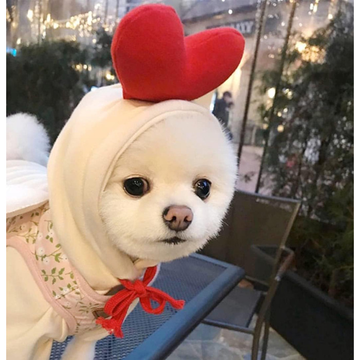 Теплий худі для собак XIAOYU: зручний зимовий одяг для цуценят та собак, теплий комбінезон з капюшоном