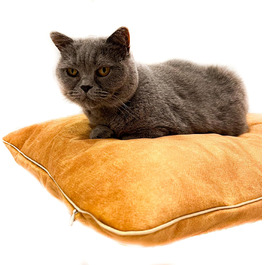 колір: жовтий