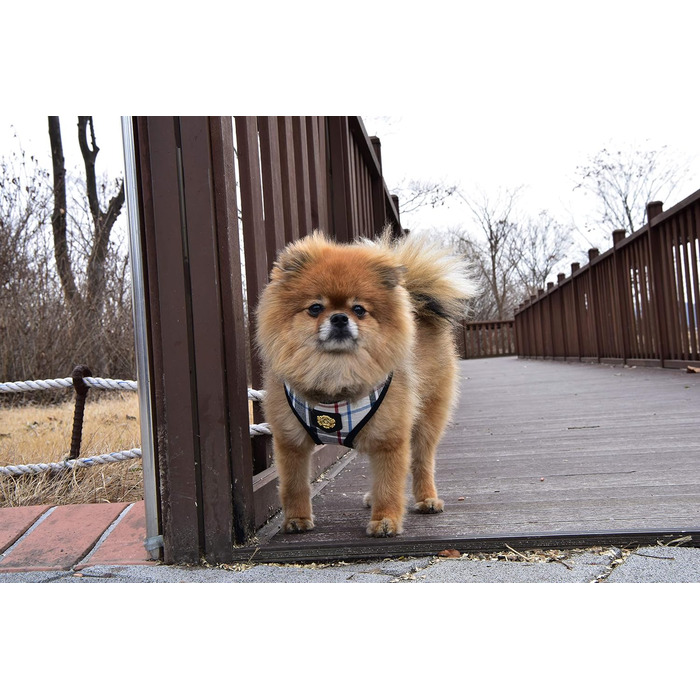 Шлея Puppia Junior для малих собак, легка і м’яка, анти-нагрив, розмір M, рожевий