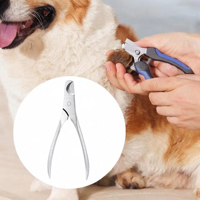 Ножиці для обрізання кігтів тварин, ножиці для кігтів, інструменти для догляду за домашніми тваринами, сталевий колір