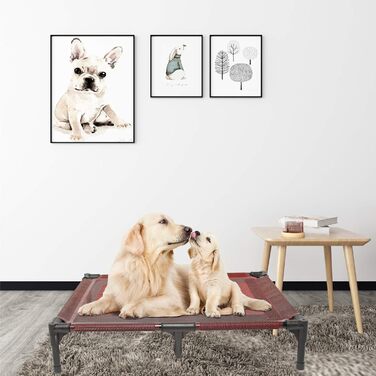 Підвищені лежанки для собак Suddus, червоні, розмір M (великі, червоні). Ідеальні для подорожей та відпочинку. Однотонні лежанки Getaway Solids