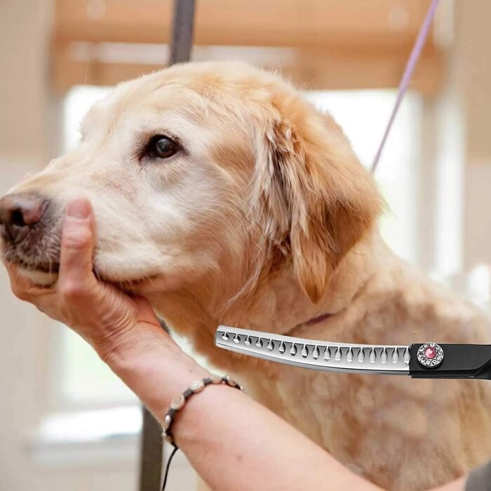 Професійна філірувальна ножиця Profi 7,0 дюймів для собак, котів та інших домашніх тварин. Ножиці для грумінгу з регулюванням натягу, сталь 440C