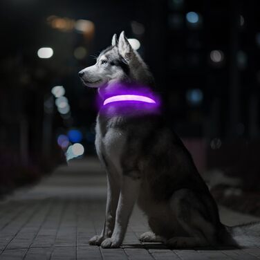 Світловідбиваючий нашийник для собак ASBRILL з USB-C, LED нашийник для собак, регульований, водонепроникний, 3 режими світіння, для малих, середніх та великих собак (L, фіолетовий)