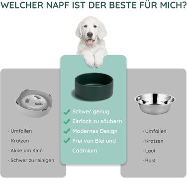 Миска для котів та маленьких собак SPUNKYJUNKY з бамбукового підставки (400 мл, зелена)