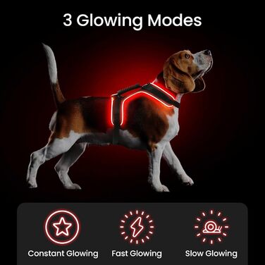 Світлодіодне обіднє нашийник для собак Masbrill, світловідбиваючий, з регулюванням, з ручкою, для малих, середніх та великих собак (Чорний/Червоний, S)