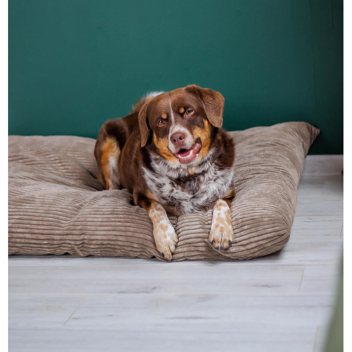 Килимок для собак 4L Textil ZOE: м'який, зручний, з блискавкою, для великих собак, з можливістю прання (графіт, смужки)