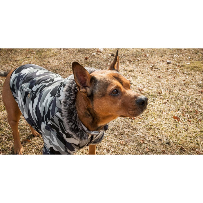 Зимовий теплий нашийник для собак Pet Life з металу, відстібається капюшон, утеплення 3M Thinsulate, камуфляж сірий, для маленьких собак