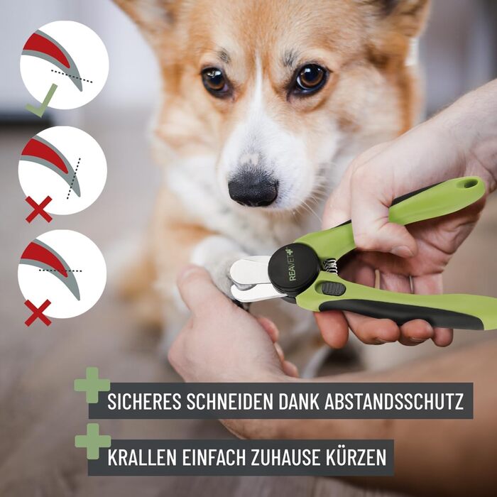 Ножиці ReaVET для обрізання кігтів собак та котів - з пилочкою та обмежувачем | Нержавіюча сталь | Інструмент для догляду за кігтями