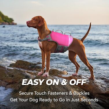 Жилет рятувальний для собак VIVAGLORY Neoprene, S, рожевий (обхват грудей до 86 см)