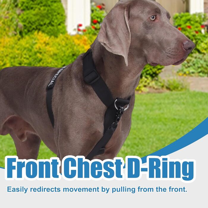 Шлейка для собак FEimaX для великих собак, тактична, не тягне, чорна, XL. Зручна, дихаюча, міцна, з м'якою підкладкою