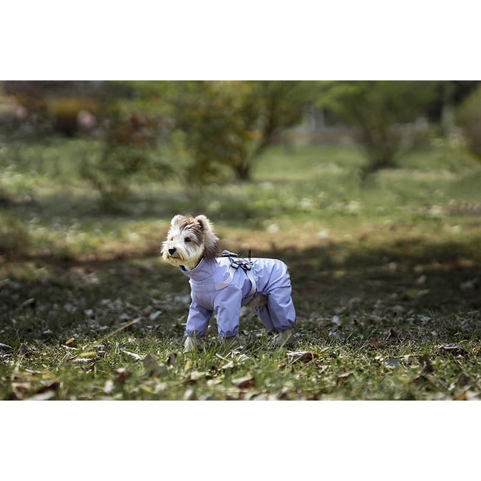 Дощовик для собак маленьких та середніх порід, регульований, з 4-ма лапами, водонепроникний, вітронепроникний, світловідбиваючий, розмір M, фіолетовий
