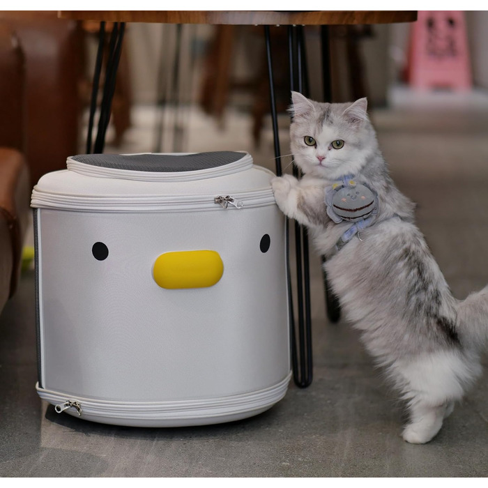 Рюкзак для домашніх тварин: переноска для собак та котів вагою до 15 кг