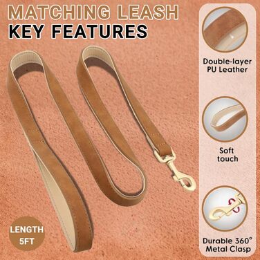 Нашийник та поводок для собак, шкіряні, персоналізовані, м'яко стьовані, міцні, з індивідуальною табличкою, регульовані (M, верблюжий, комплект M: обхват шиї 28-37 см, ширина 2 см)