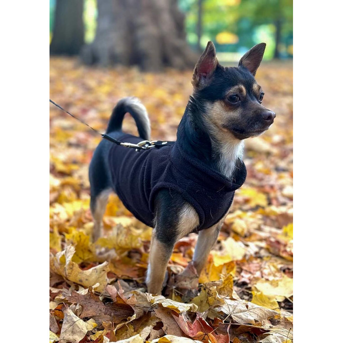 Тепла жилетка JACKO & CO для собак та котів з кільцем для повідка, чорна, розмір XXL (10,8-15,9кг)