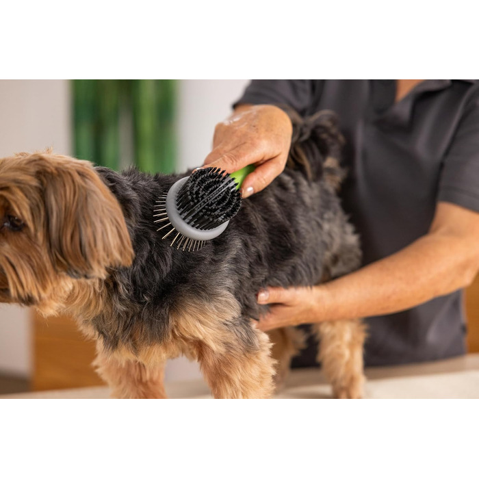 Двостороння щітка Wahl для собак і котів 2 в 1, професійний догляд, видаляє ковтуни, зелена