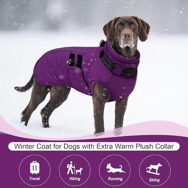 Зимова куртка для собак IECOii, тепла, водонепроникна, регульована, з відбиваючими елементами, фіолетового кольору, розмір M