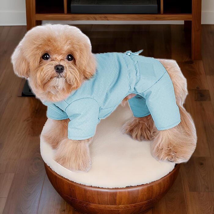 Зимовий одяг для собак: тепла куртка-худі для маленьких собак, блакитна, розмір L