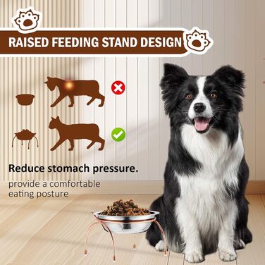 Набір з 6 піднятих мисок для котів, 14 см, нержавіюча сталь, миски для котів з металевим підставкою, без стресу, для вусів, піднята годівниця та миска для води для котів, кошенят, маленьких собак, 340 мл