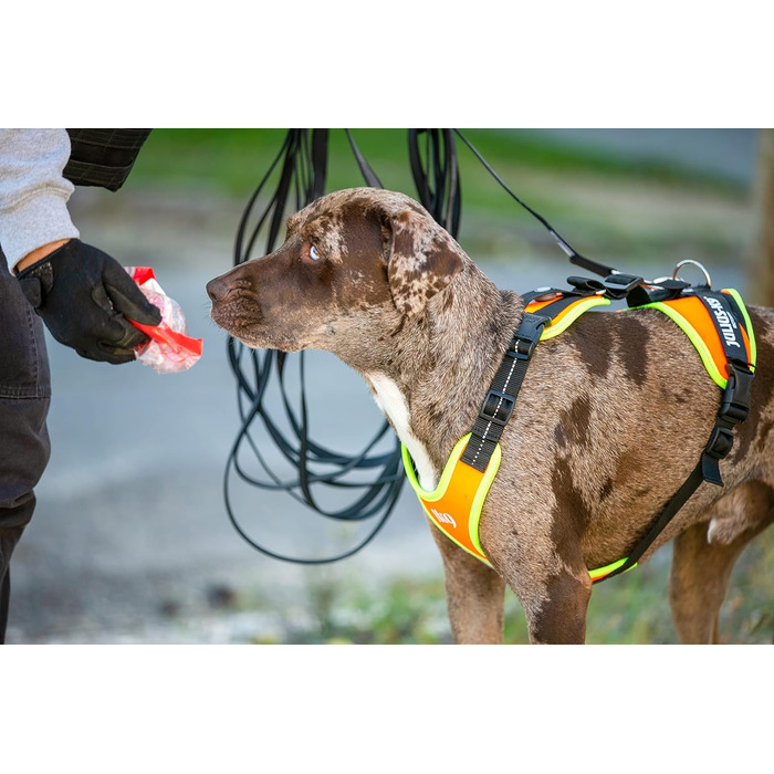 Шлея Julius-K9 для мантрілінгу та прогулянок, розмір L-XL, чорна