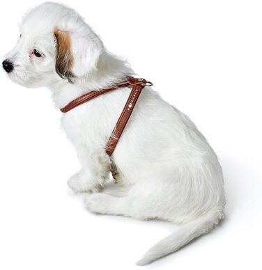 Нашийник для собак HUNTER Round & Soft Canadian UP, колір: Cognac, м'яка, еластична шкіра, оброблений край, не травмує шерсть, екологічний, Made in Germany, розмір: S/1 S/1 Cognac