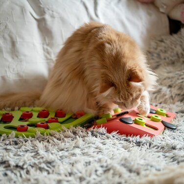 Інтерактивна головоломка для котів Nina Ottosson Cat Puzzle Play — Melon Madness