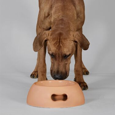 Миска для собак UNITED PETS Pappy, екологічна, зелена, для середніх собак, 1100 мл, зроблена в Італії