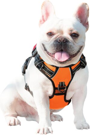 Шлейка для собак PHOEPET з регулюванням, для прогулянок, з карабіном, світловідбиваючими смугами та ручкою для контролю (XL, помаранчевий)