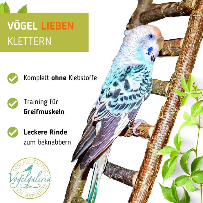 Vogelgaleria® Драбинка для птахів з натурального дерева без клею, іграшка для хвилястих папуг, корел, канарок