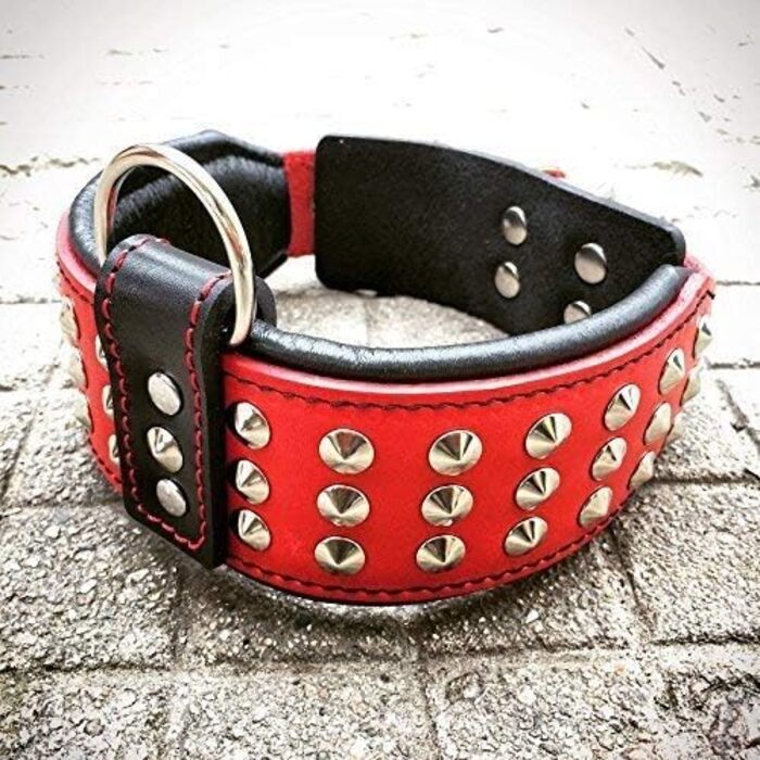 Bestia Star нашийник для собак з шипами та м'якою підкладкою, ширина 6,5 см