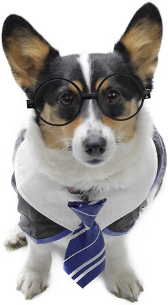 Сорочка для собак на Хелловін Impoosy, кумедний костюм кота-чаклуна, мила одяг з окулярами (розмір M, обхват шиї: 35,6 см), блакитний