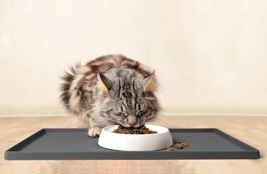 Миска для котів CatGuru Schnurrhaar – широка, плоска, антистресова, з нековзкою основою, зменшує втомленість вусів, для корму та води