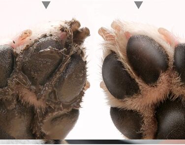 Автоматична мийка для лап домашніх тварин AXTMR з масажем, силікон, для собак та котів, Blue 150 мл