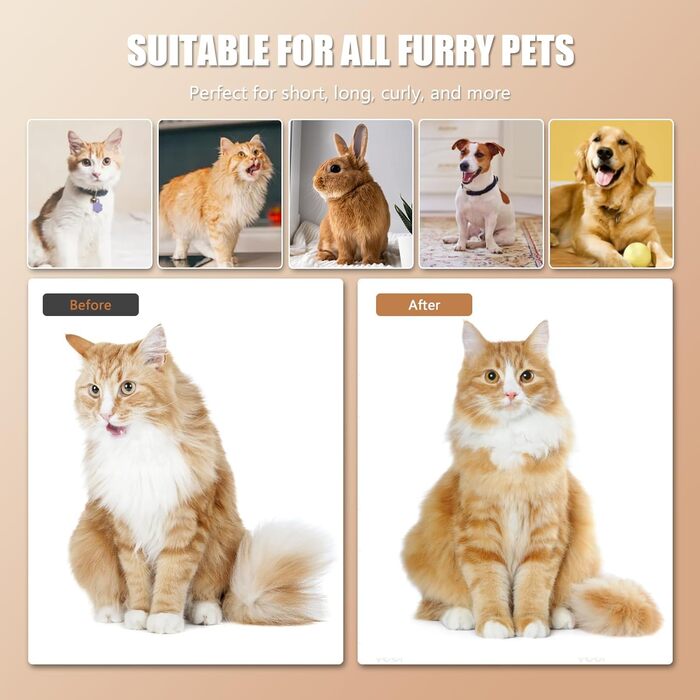 Двостороння щітка для котів з парою 4-в-1: масаж, догляд та видалення шерсті. Біла щітка з парогенератором для котів