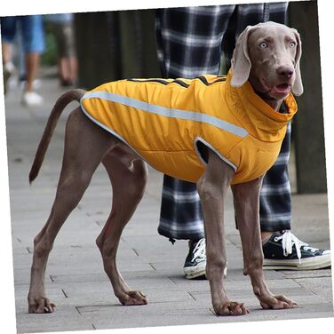 Жовтий дощовик для цуценят Hohopeti з міцного матеріалу, з підкладкою, для прогулянок у дощ