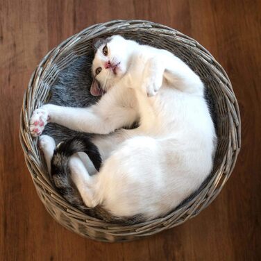 Котячий будиночок-вежа з ротанга сірий з м'якою подушкою