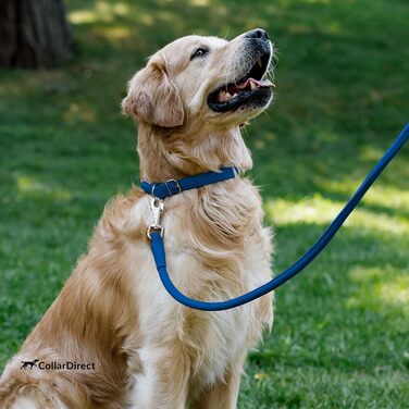 Шкіряний нашийник для собак CollarDirect, круглий, м'який, з рулоном, ручної роботи, справжня шкіра, для цуценят та собак різних розмірів, чорний, червоний, фіолетовий, синій (темно-синій), 18-20 см